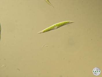 H0320_12.JPG