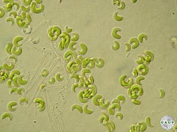 H0601_4.JPG