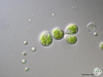 H1003_1.JPG
