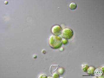 H1003_2.JPG