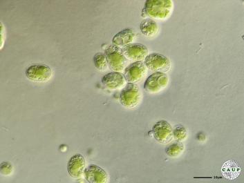H1003_3.JPG