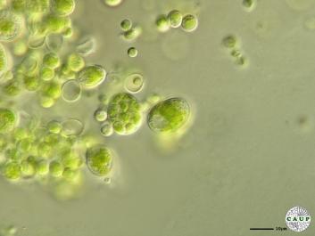 H1003_4.JPG