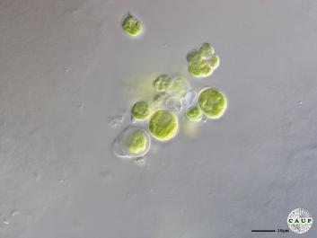 H1004_1.JPG