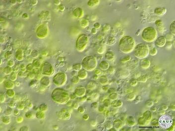 H1004_2.JPG