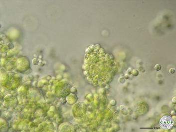 H1004_4.JPG