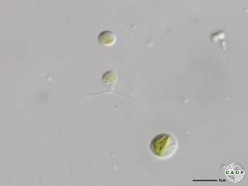 H1004_6a.jpg