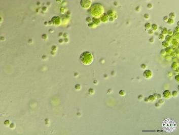 H1005_1.JPG