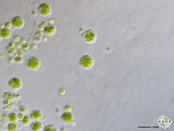 H1005_2.JPG