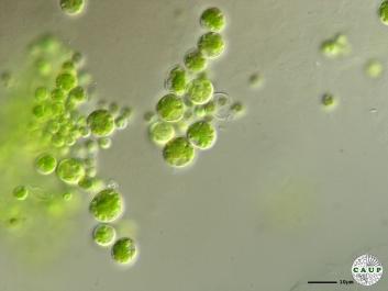 H1005_3.JPG