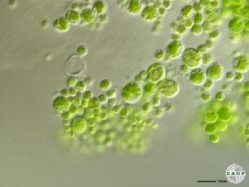 H1005_4.JPG