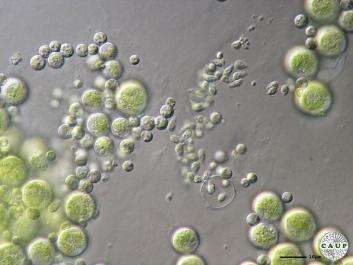 H1005_6.JPG
