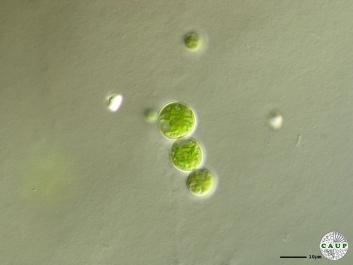 H1007_1.JPG