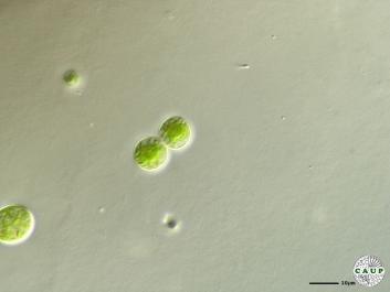 H1007_2.JPG