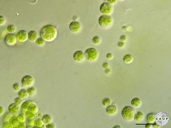 H1007_4.JPG