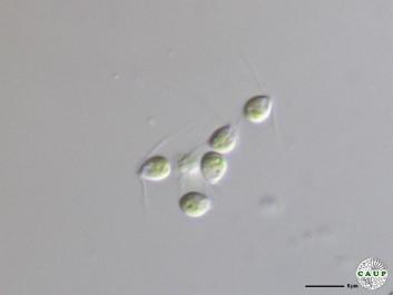 H1007_5a.jpg