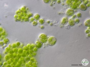 H1008_2.JPG