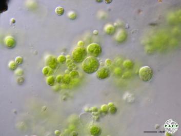 H1008_3.JPG