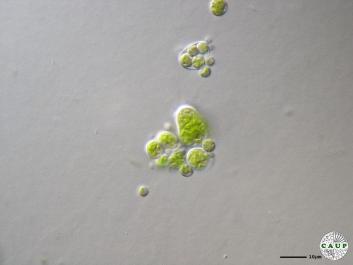 H1008_4.JPG