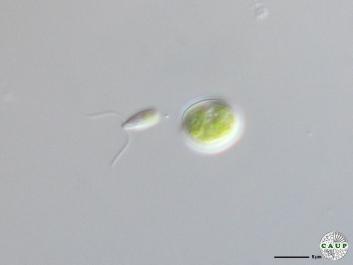 H1008_6a.jpg