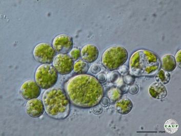 H1008a.JPG