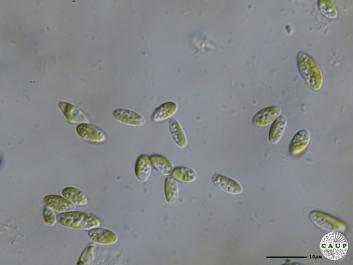 H102_1.JPG
