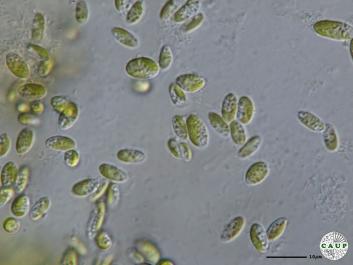 H102_2.JPG