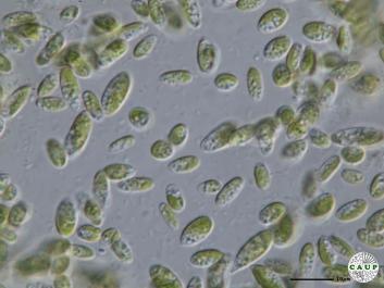 H102_4.JPG