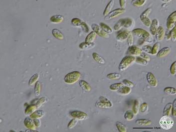 H102_5.JPG