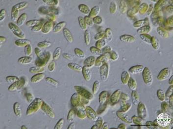 H102_6.JPG