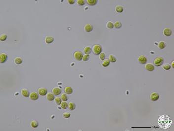 H1101_2.JPG