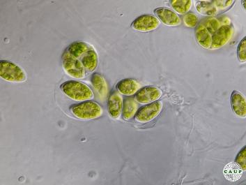 H1106_2.JPG