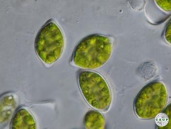 H1106_4.JPG