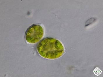 H1106_5.JPG