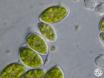 H1106_6.JPG