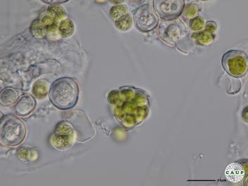 H1207_13.JPG
