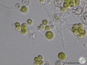 H1207_15.JPG