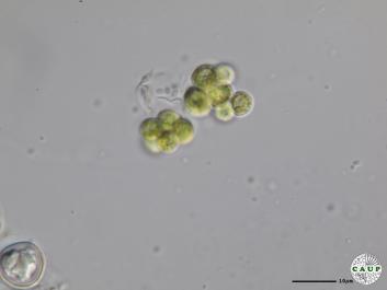 H1207_3.JPG