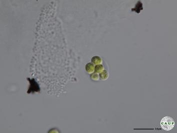 H1207_8.JPG