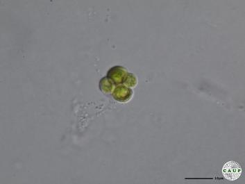 H1207_9.JPG