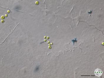 H1308_5.JPG