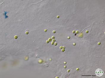 H1308_7.JPG