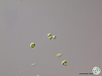 H1308_8.JPG