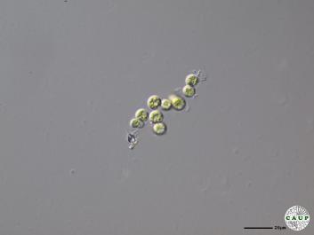 H1401_15.JPG