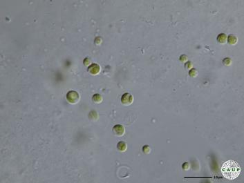 H1901_10.JPG