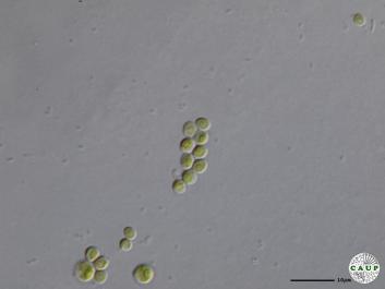 H1901_5.JPG