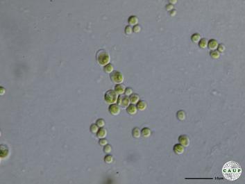 H1901_8.JPG
