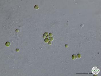 H1901_9.JPG