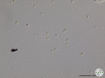 H1984_3.JPG