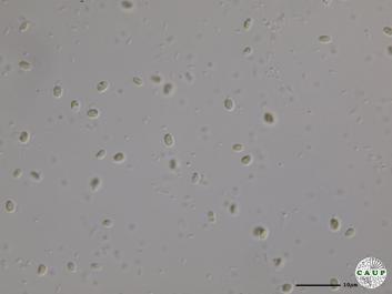H1984_4.JPG