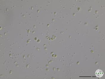 H1984_7.JPG